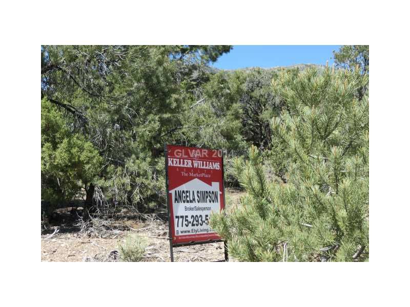 Ely, White Pine County, NV Undeveloped Land, Homesites for sale