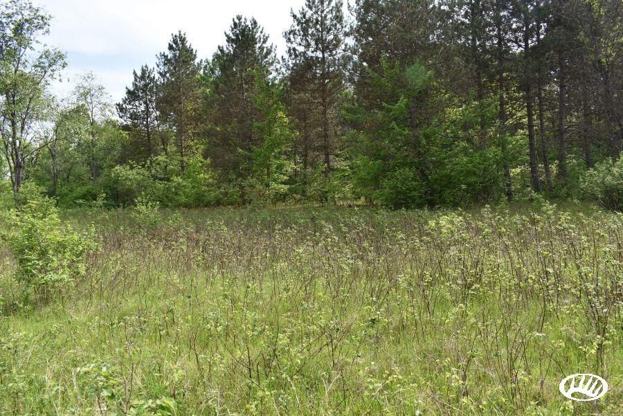 Amberg, County, WI Farms and Ranches, Homesites for sale