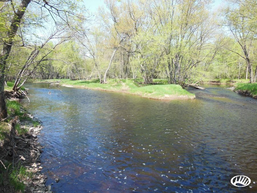 Withee, Taylor County, WI Recreational Property, Hunting Property