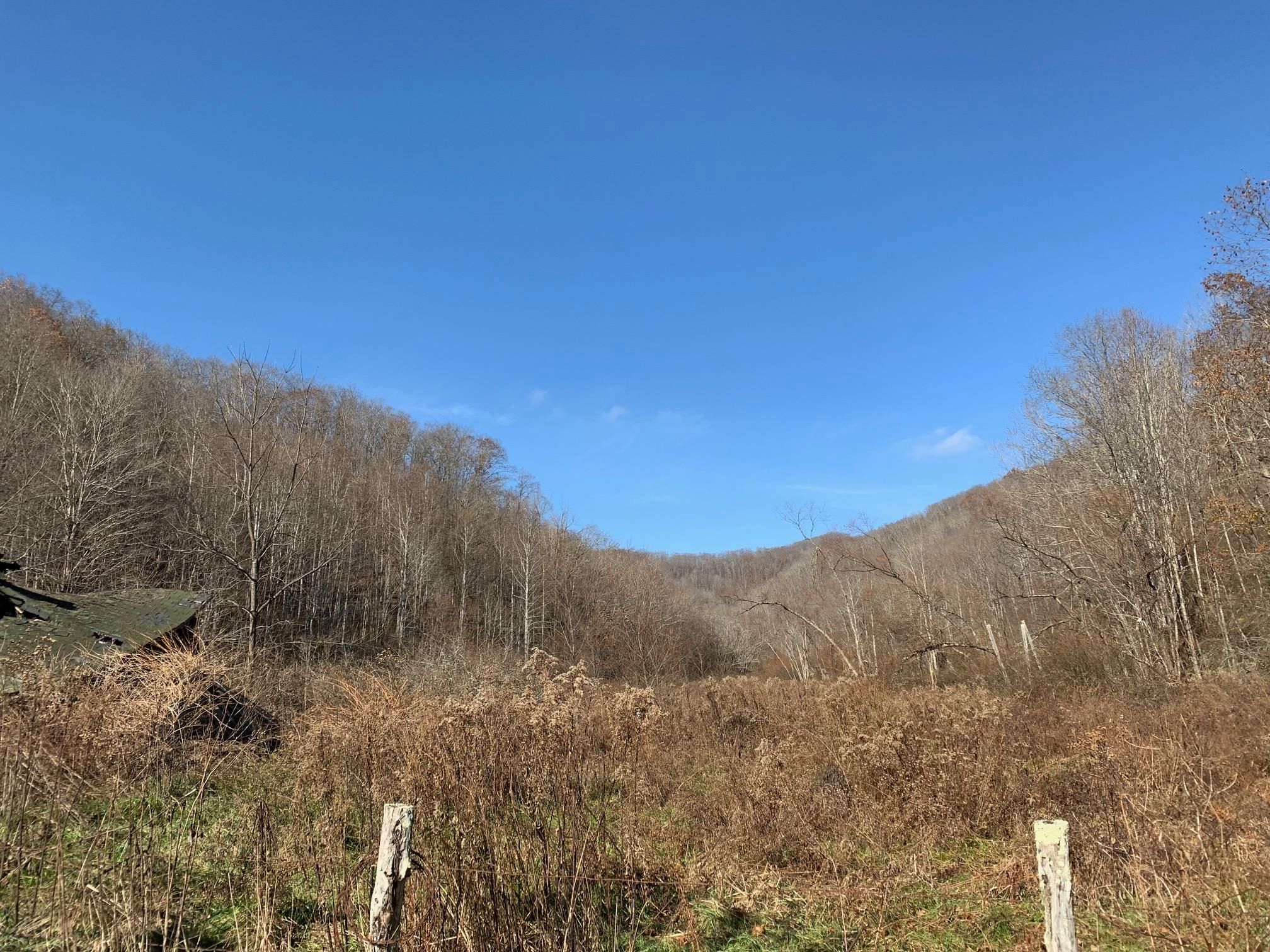 Alderson, Greenbrier County, WV Undeveloped Land for sale Property ID