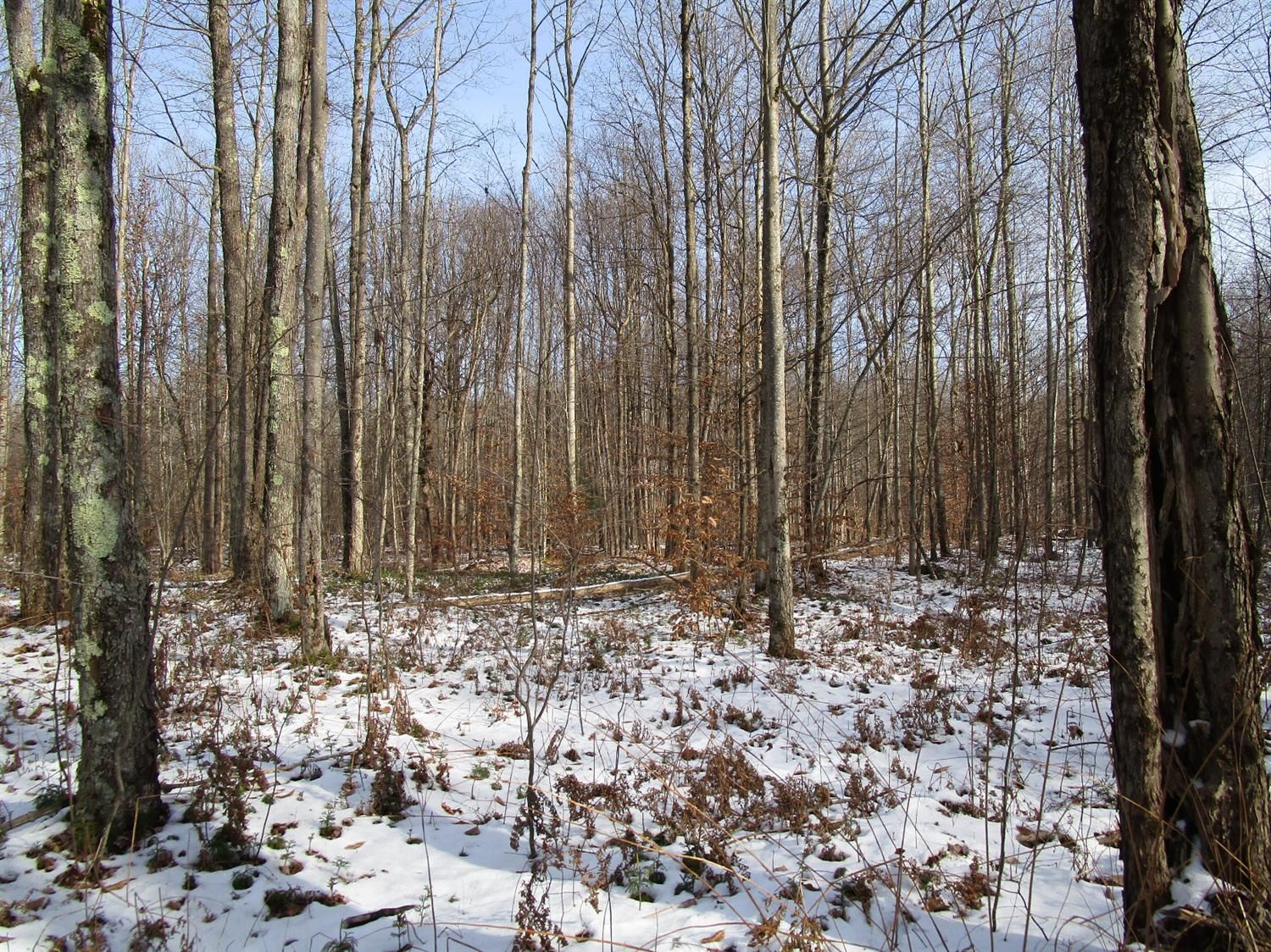 Mcdonough, Chenango County, NY Undeveloped Land for sale Property ID