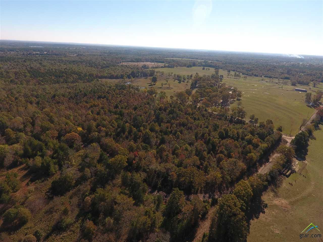 Leesburg, Camp County, TX Undeveloped Land for sale Property ID