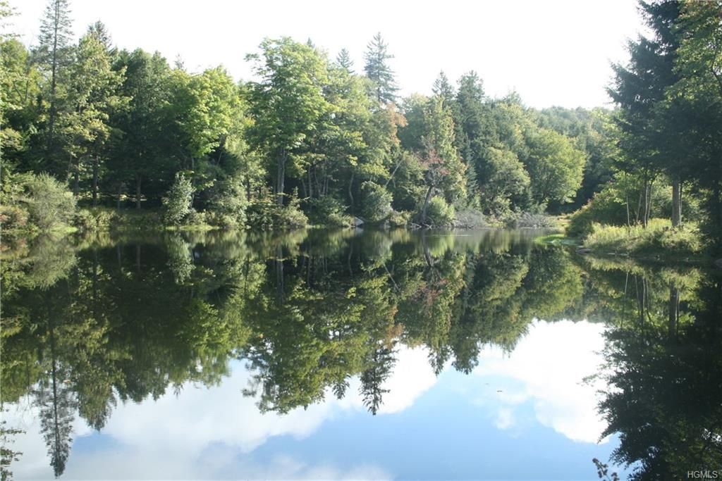 Parksville, Sullivan County, NY Undeveloped Land for sale Property ID