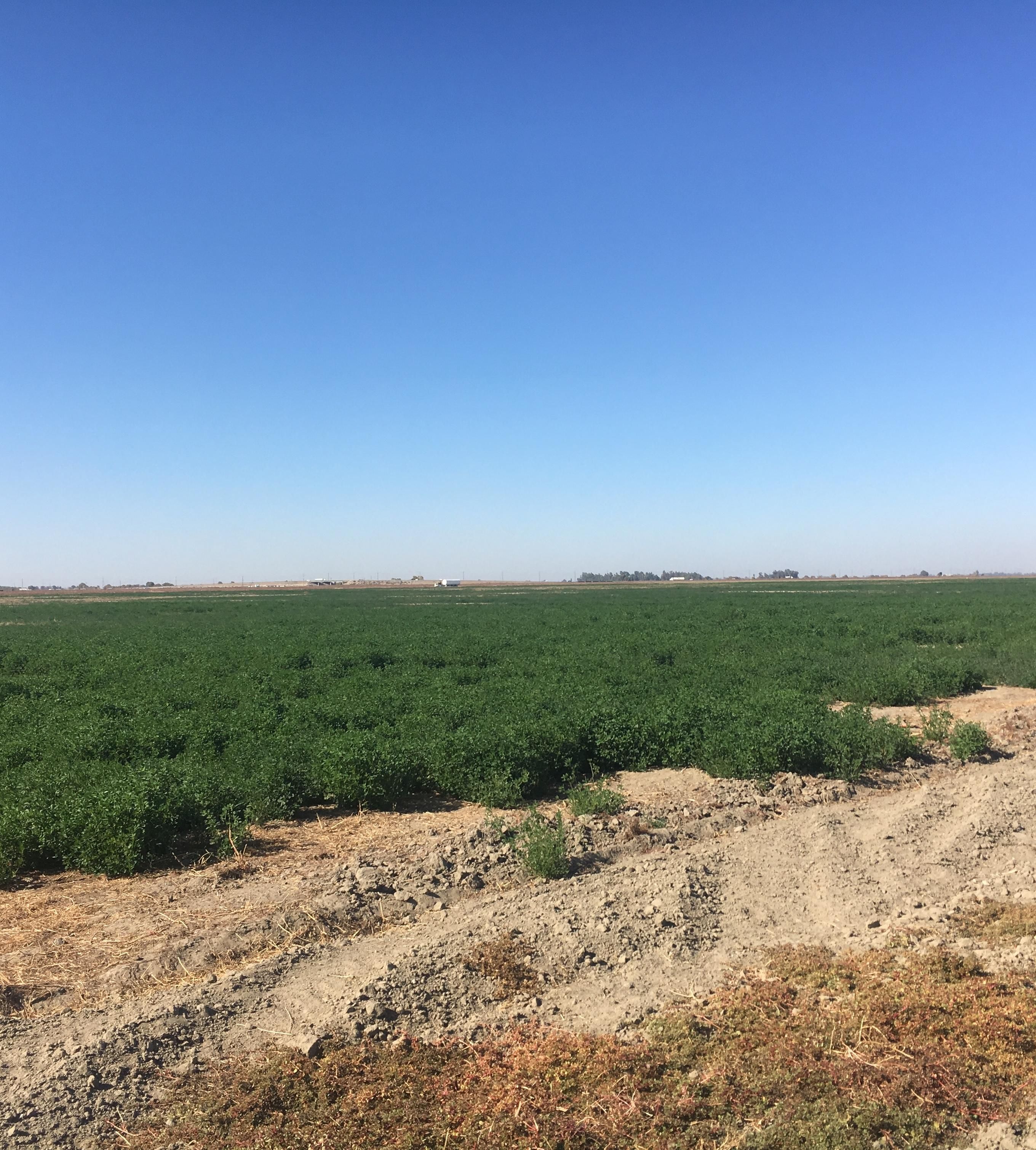 Lemoore, Kings County, CA Farms and Ranches for sale Property ID