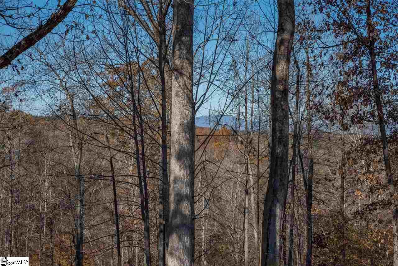 Tryon, Polk County, NC Undeveloped Land for sale Property ID 333456061