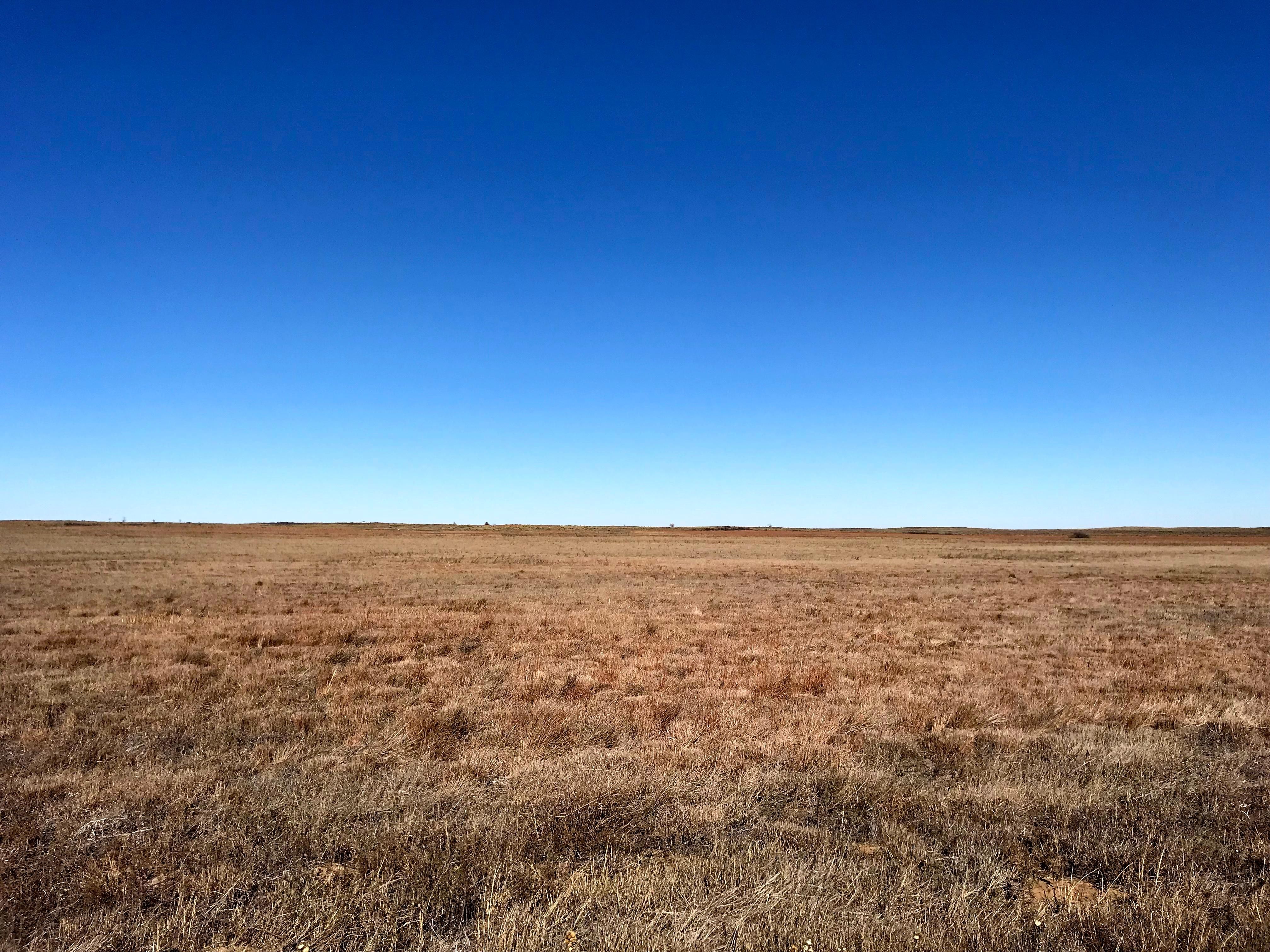 Guymon, Texas County, OK Farms and Ranches, House for sale Property ID 333443983 LandWatch