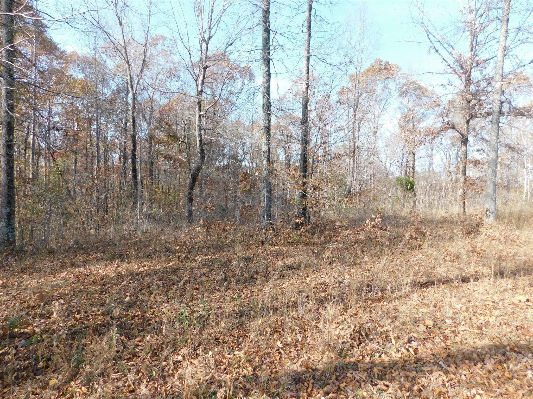 Waverly, Humphreys County, TN Undeveloped Land for sale Property ID