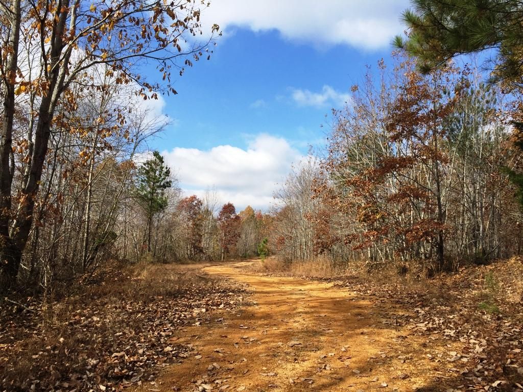 Linden, Perry County, TN Recreational Property, Timberland Property