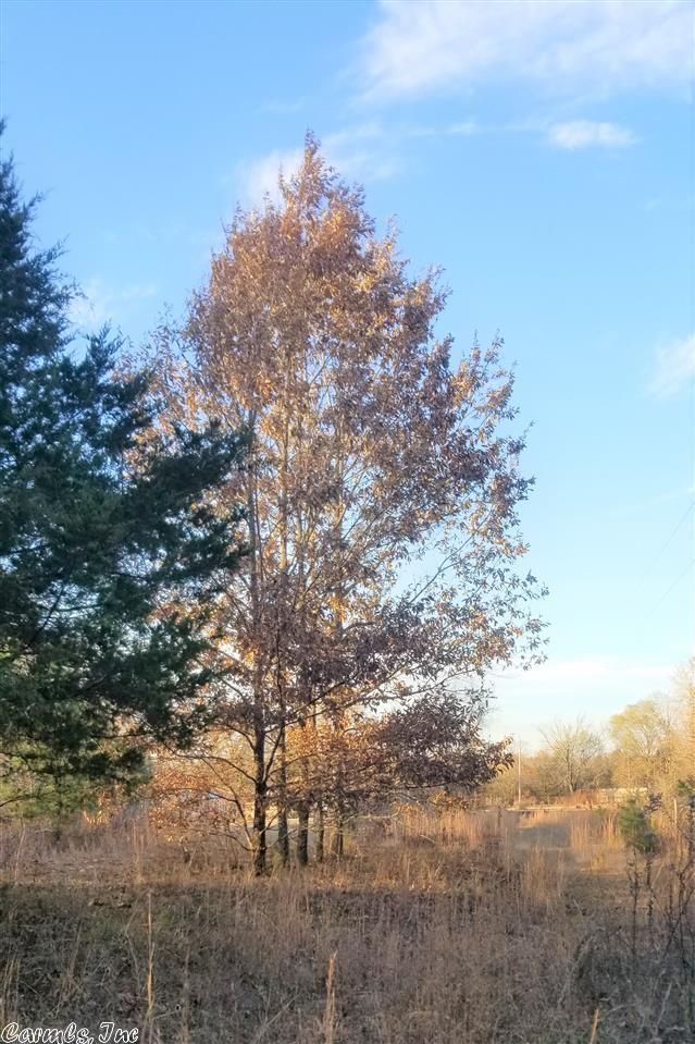 Cove, Polk County, AR Undeveloped Land for sale Property ID 333463365