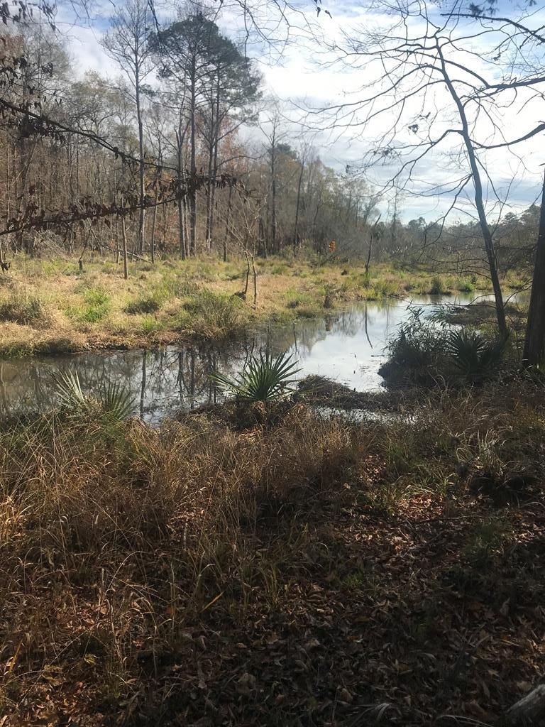 Upatoi, Muscogee County, GA Undeveloped Land for sale Property ID