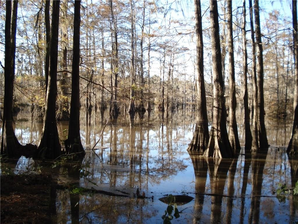 Colfax, Grant Parish, LA Undeveloped Land, Lakefront Property