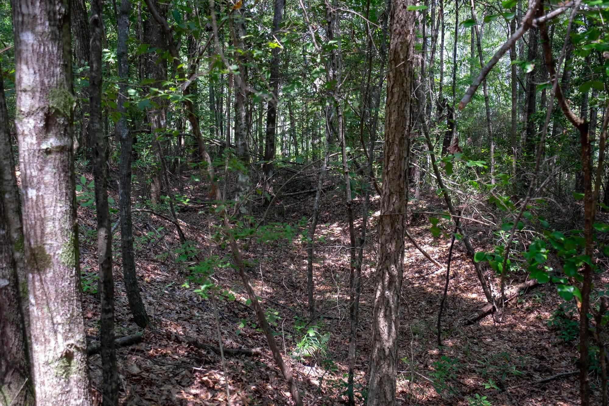 Colmesneil, Tyler County, TX Recreational Property, Hunting Property