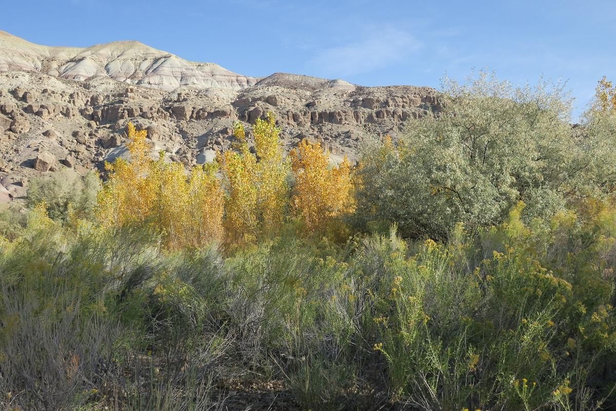 84775 Utah 24, Torrey, UT 84775 MLS 1447633 LandWatch