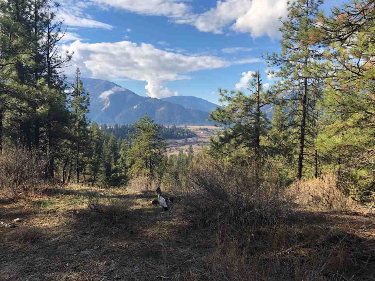 Garden Valley, Boise County, ID Undeveloped Land for sale Property ID