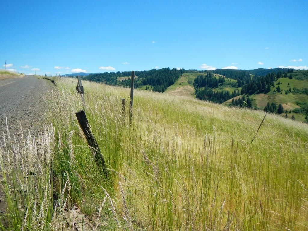 Dixie, Walla Walla County, WA Undeveloped Land for sale Property ID