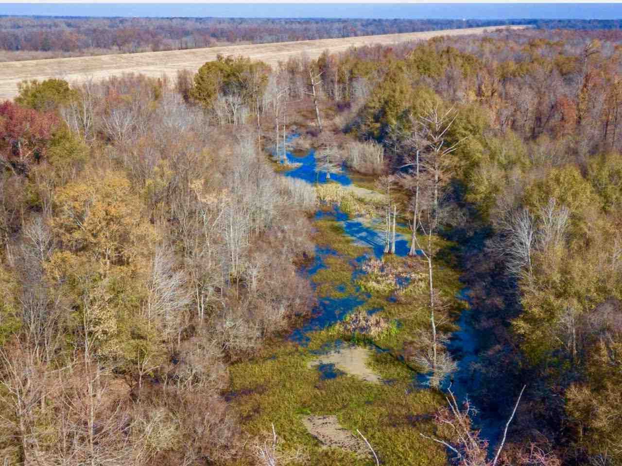 Mayersville, Issaquena County, MS Undeveloped Land for sale Property ID