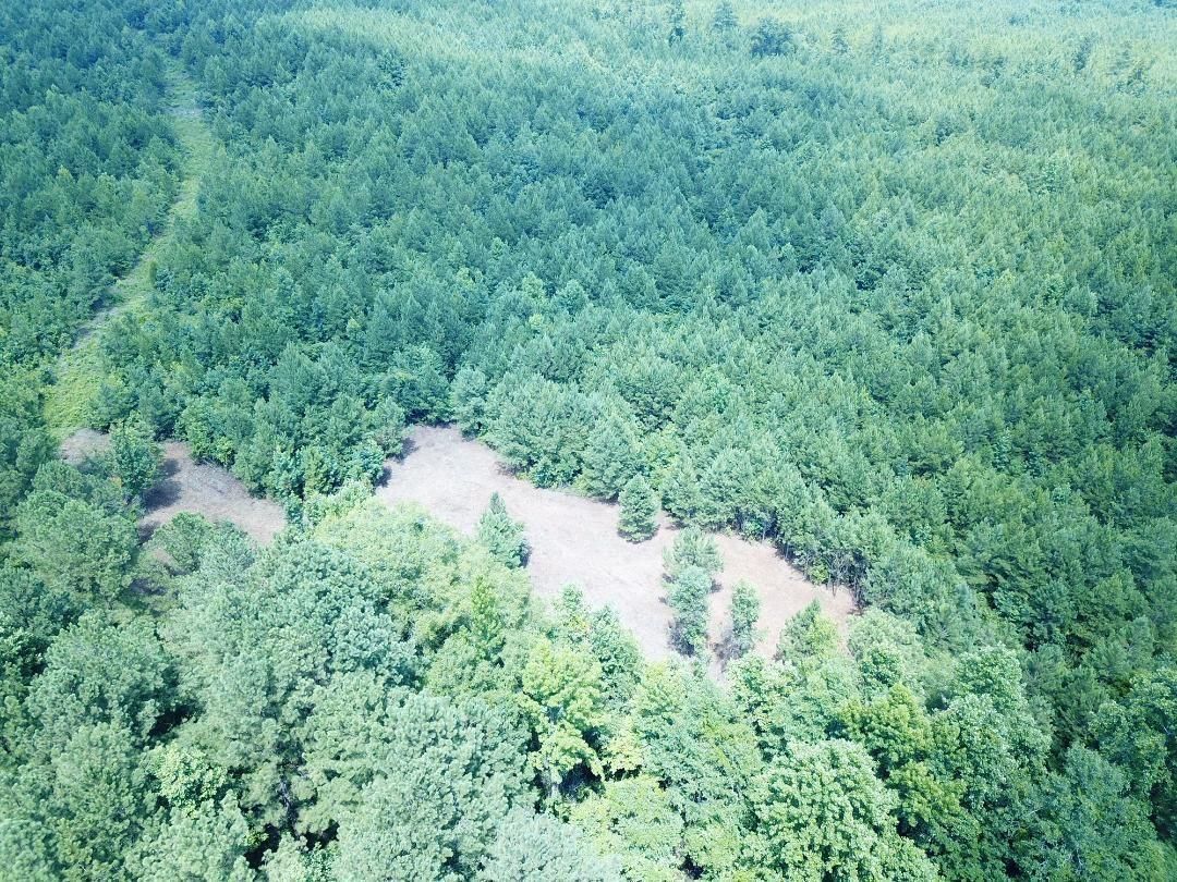 County Road 67, Waverly, AL 36879 MLS 139320 LandWatch