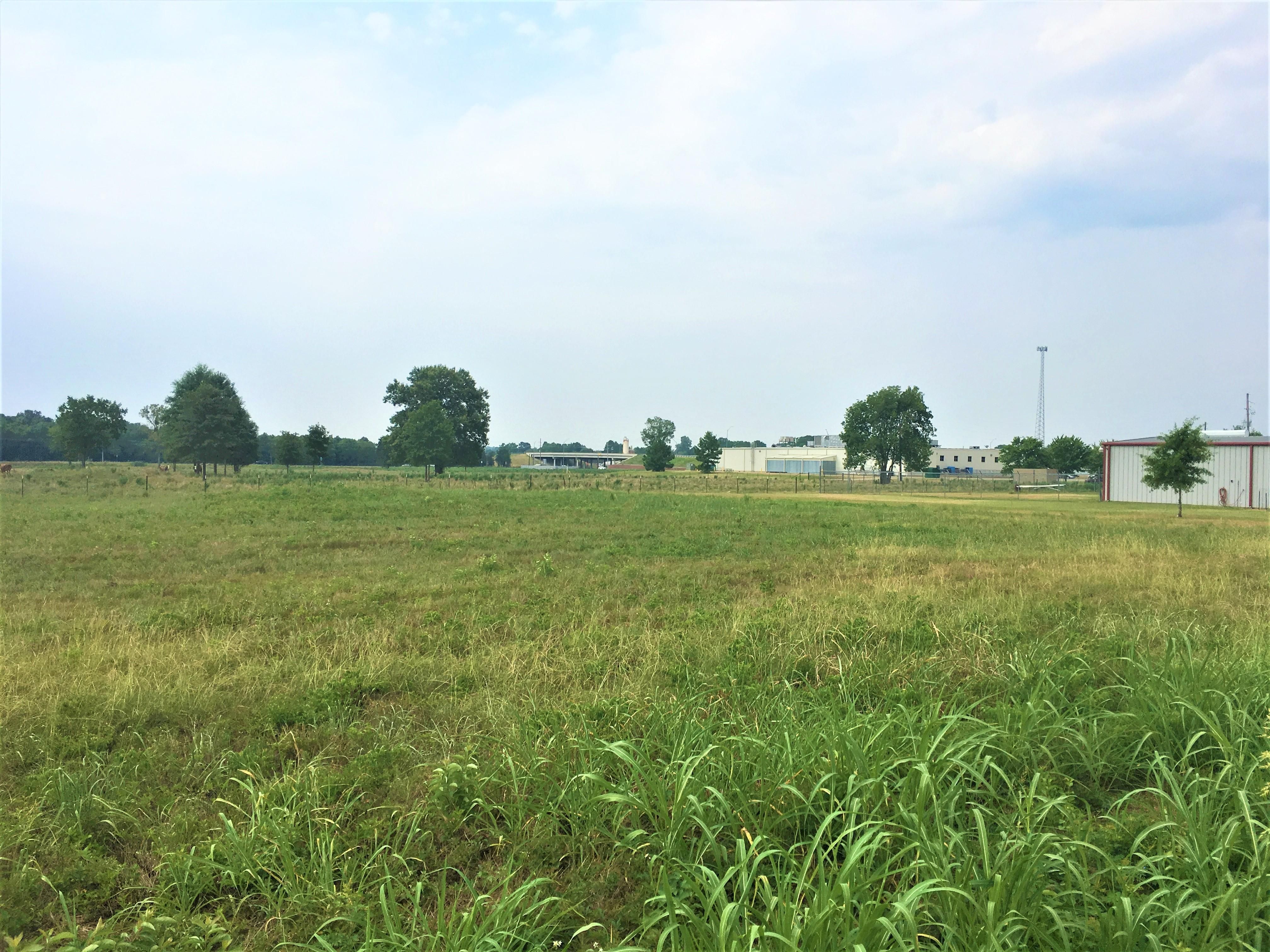 New Boston, Bowie County, TX Recreational Property, Undeveloped Land
