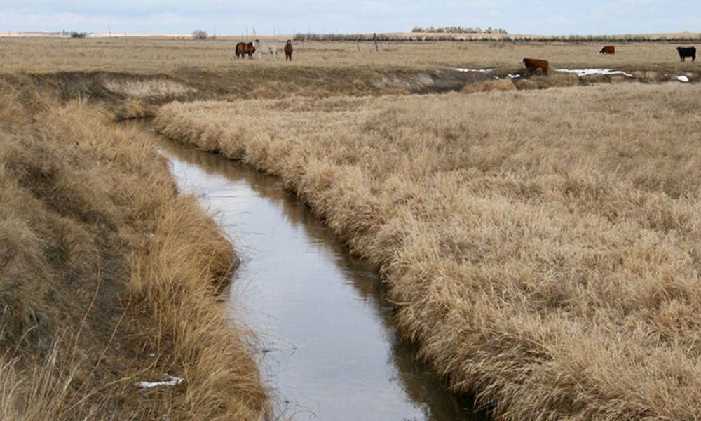 Martin, County, SD Farms and Ranches, Hunting Property for sale