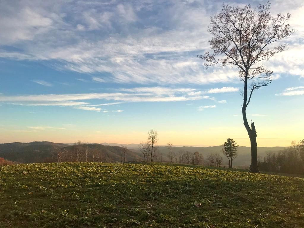 Mcgrady, Wilkes County, NC Recreational Property, Undeveloped Land