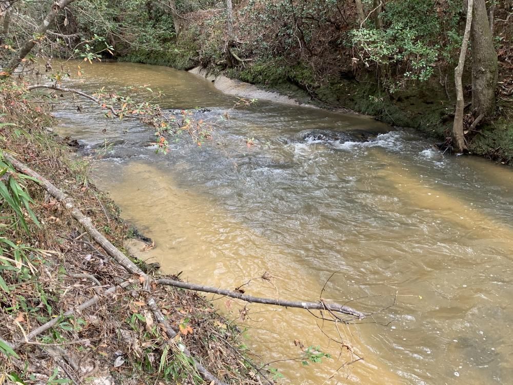 Coffeeville, Clarke County, AL Recreational Property, Timberland