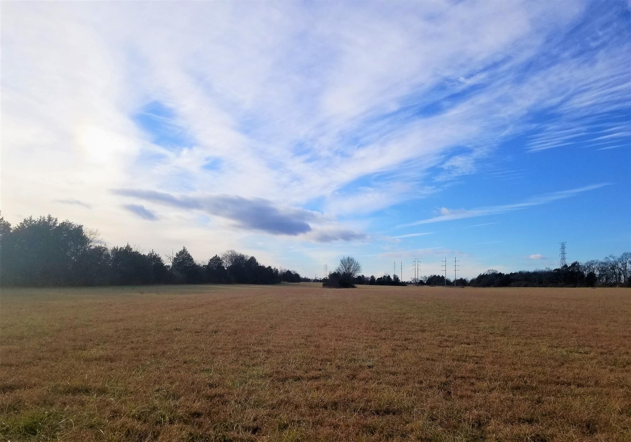 Christiana, Rutherford County, TN Undeveloped Land for sale Property ID