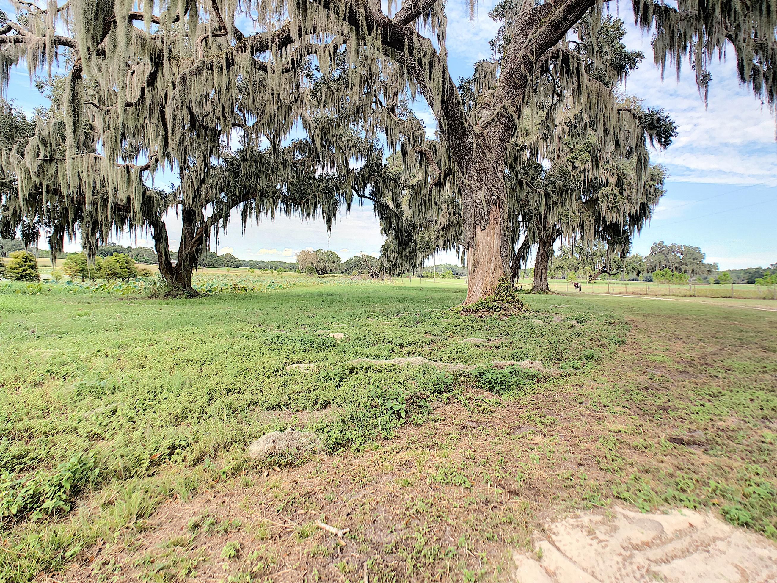 Brooksville, Hernando County, FL Farms and Ranches, Recreational