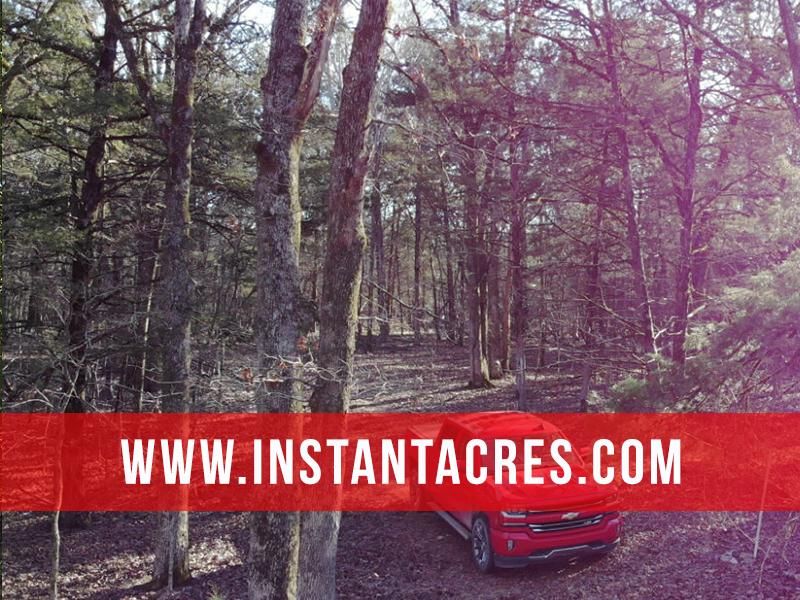 Cedarcreek, Taney County, MO Recreational Property, Undeveloped Land