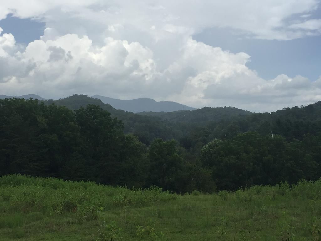 Bryson City, Swain County, NC Undeveloped Land for sale Property ID