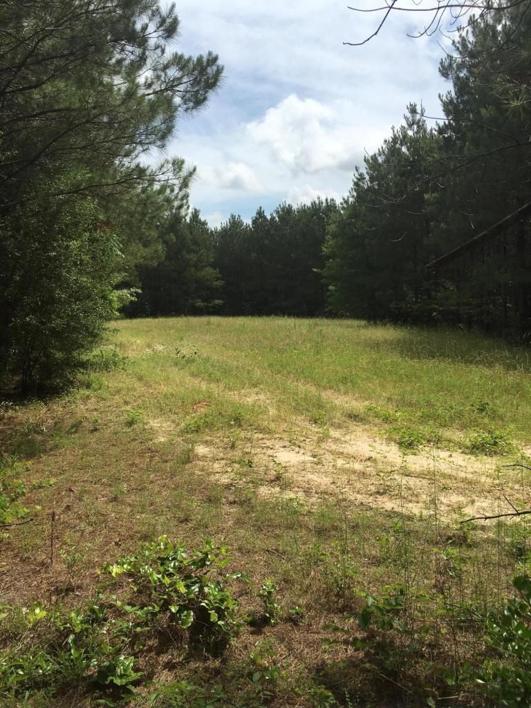 Enterprise, Clarke County, MS Recreational Property, Timberland