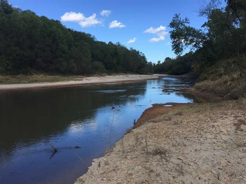 CR 4002, Sallis, MS 39160 LandWatch
