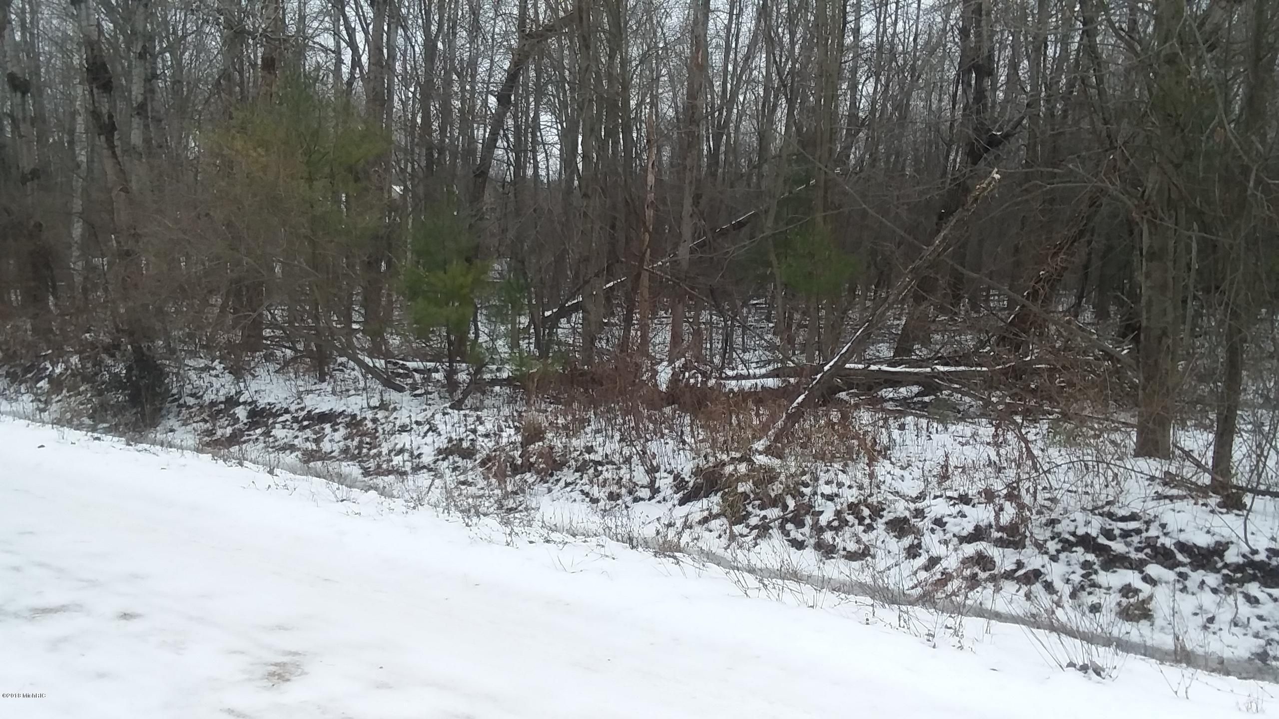 Ludington, Mason County, MI Undeveloped Land for sale Property ID