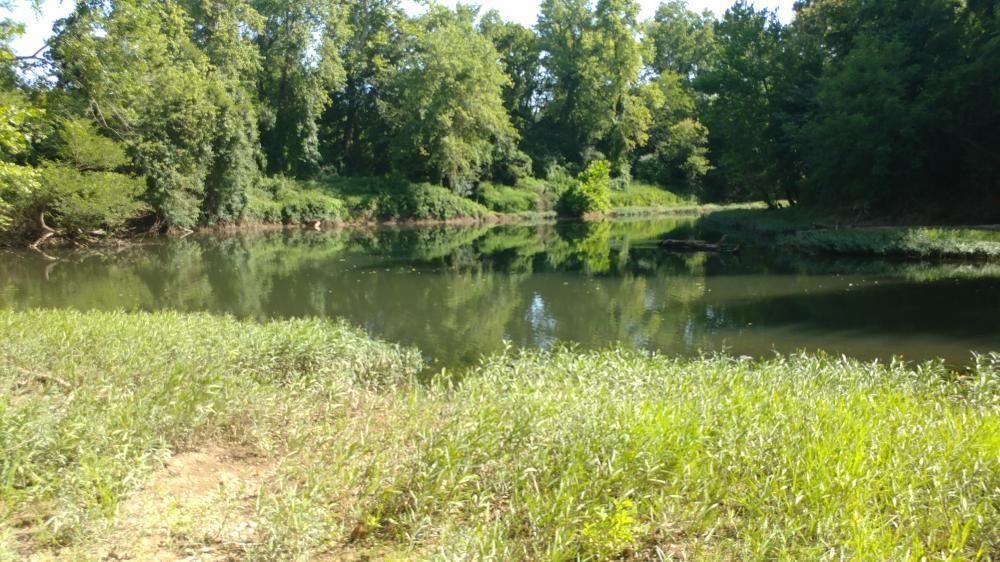 Benton, Saline County, AR Recreational Property, Timberland Property