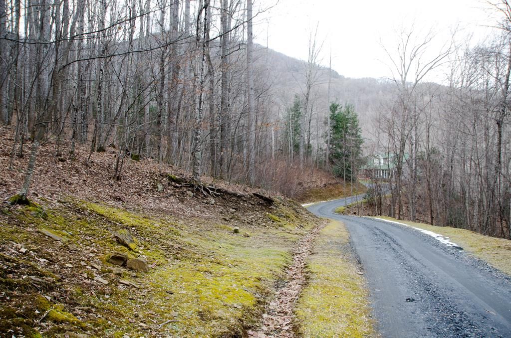 Burnsville, Yancey County, NC Undeveloped Land for sale Property ID