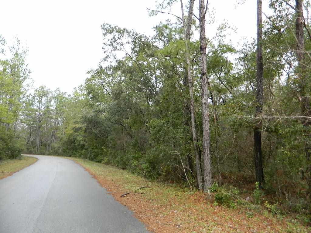 Sopchoppy, Wakulla County, FL Undeveloped Land, Homesites for sale