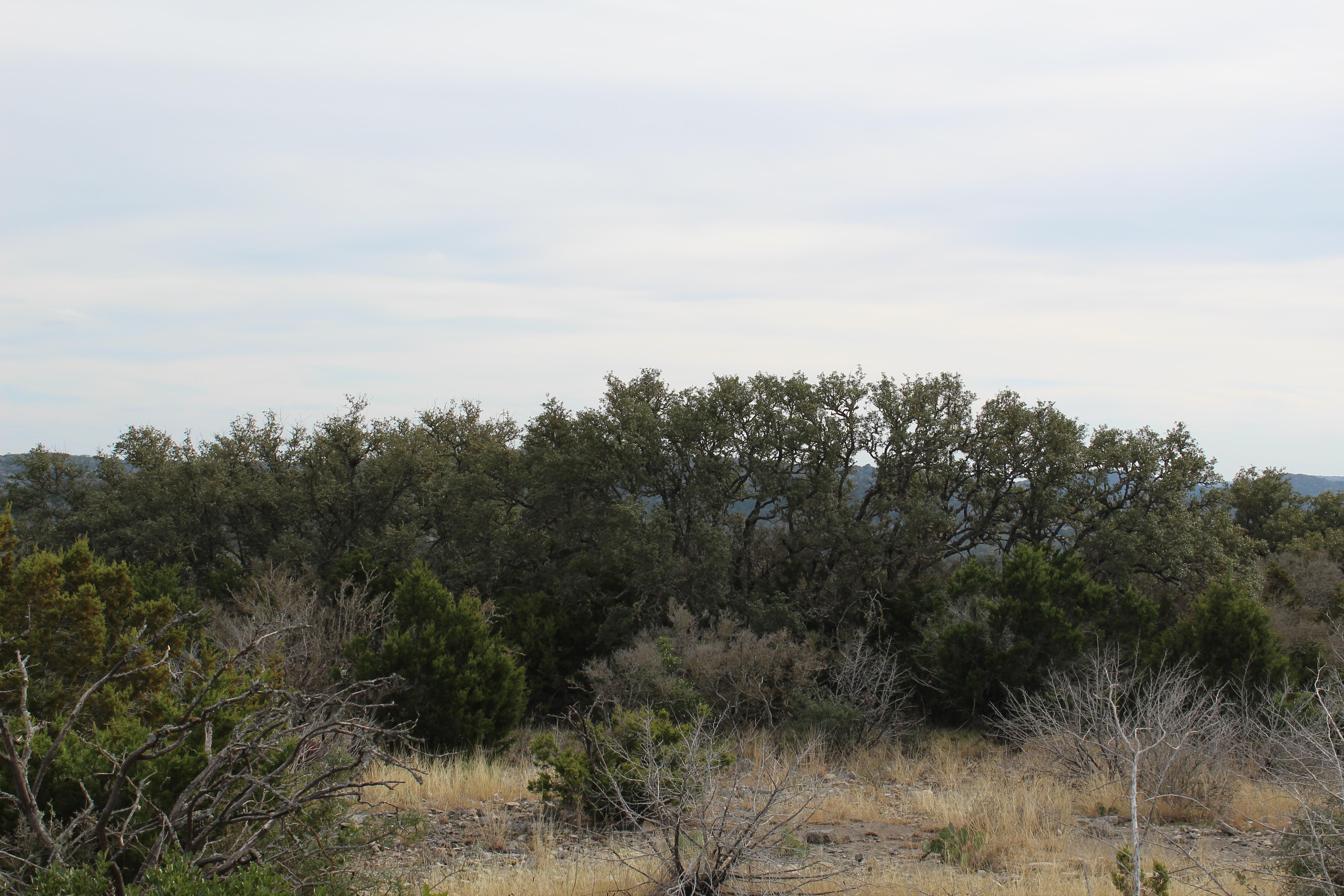 Rocksprings, Edwards County, TX Farms and Ranches, Recreational
