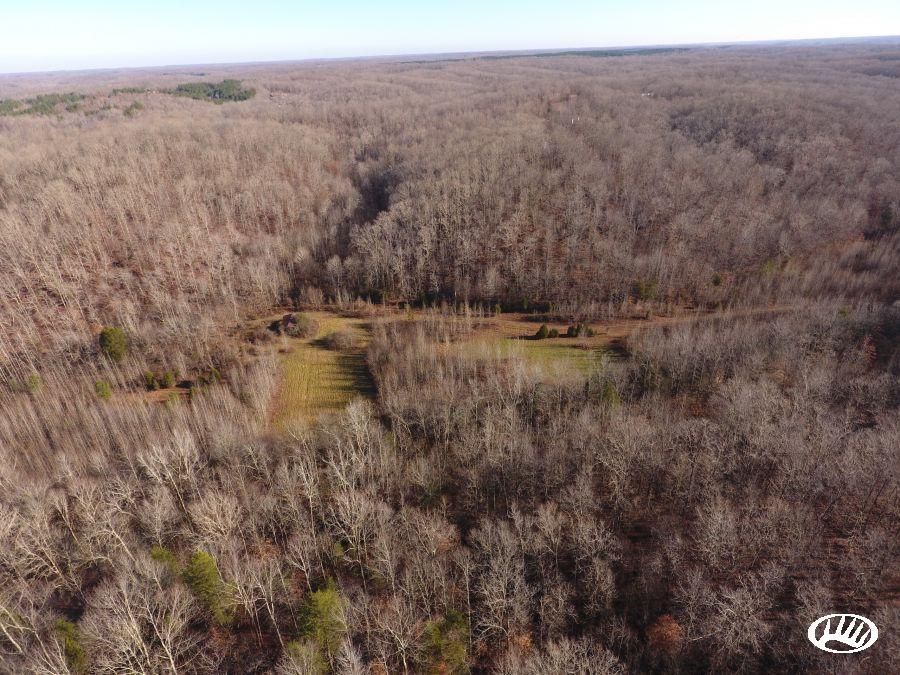 Hurricane Mills, Humphreys County, TN Recreational Property, Hunting