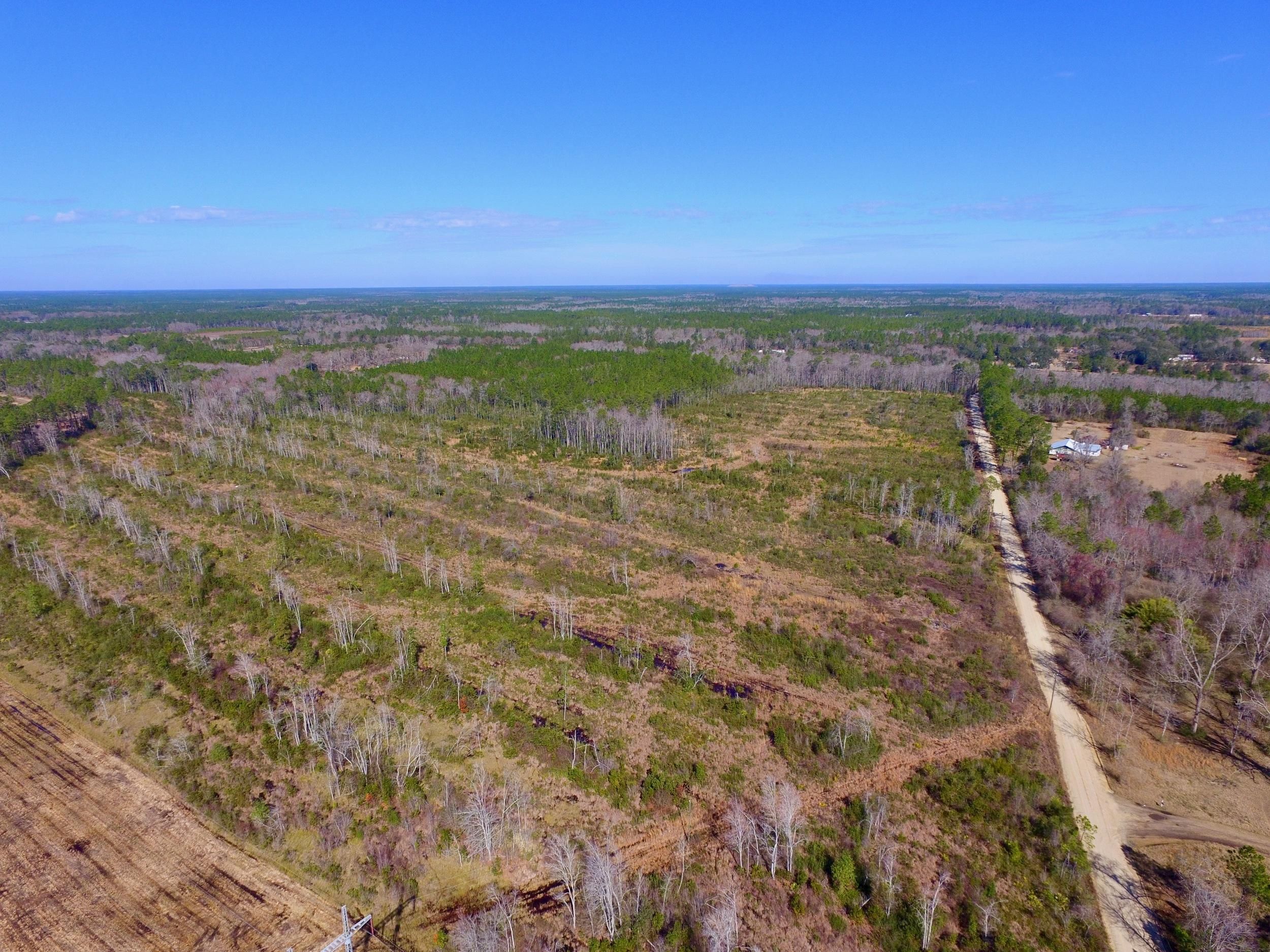Hortense, Brantley County, GA Recreational Property, Undeveloped Land