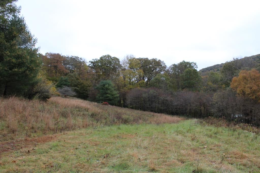 Cross Fork, Potter County, PA for sale Property ID 333712699 LandWatch