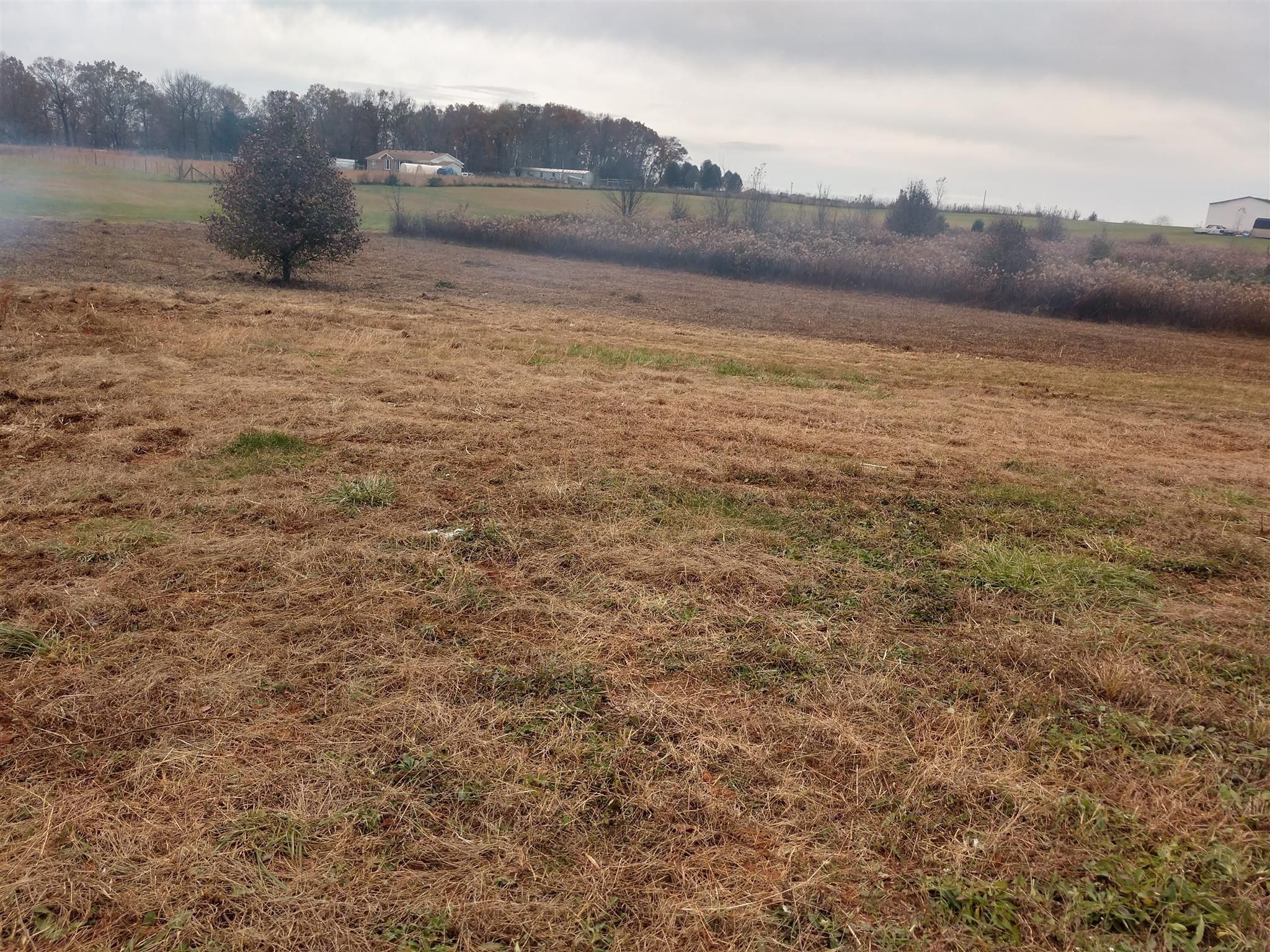 Franklin, Simpson County, KY Farms and Ranches for sale Property ID