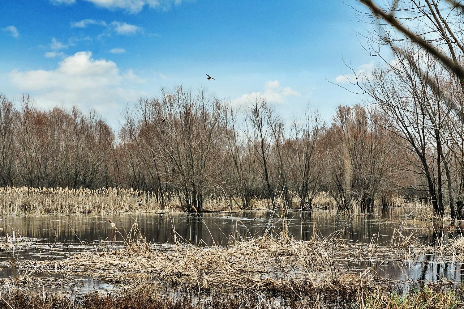 Lake Creek, Delta County, TX Farms and Ranches, Recreational Property