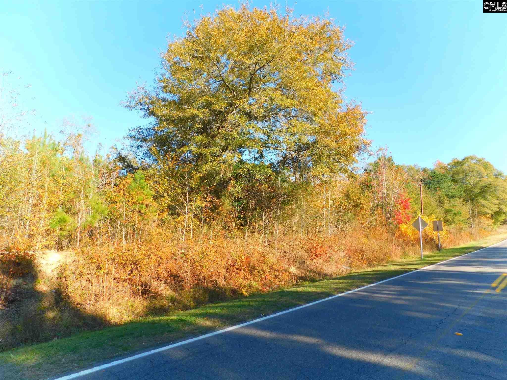 BatesburgLeesville, Saluda County, SC Recreational Property