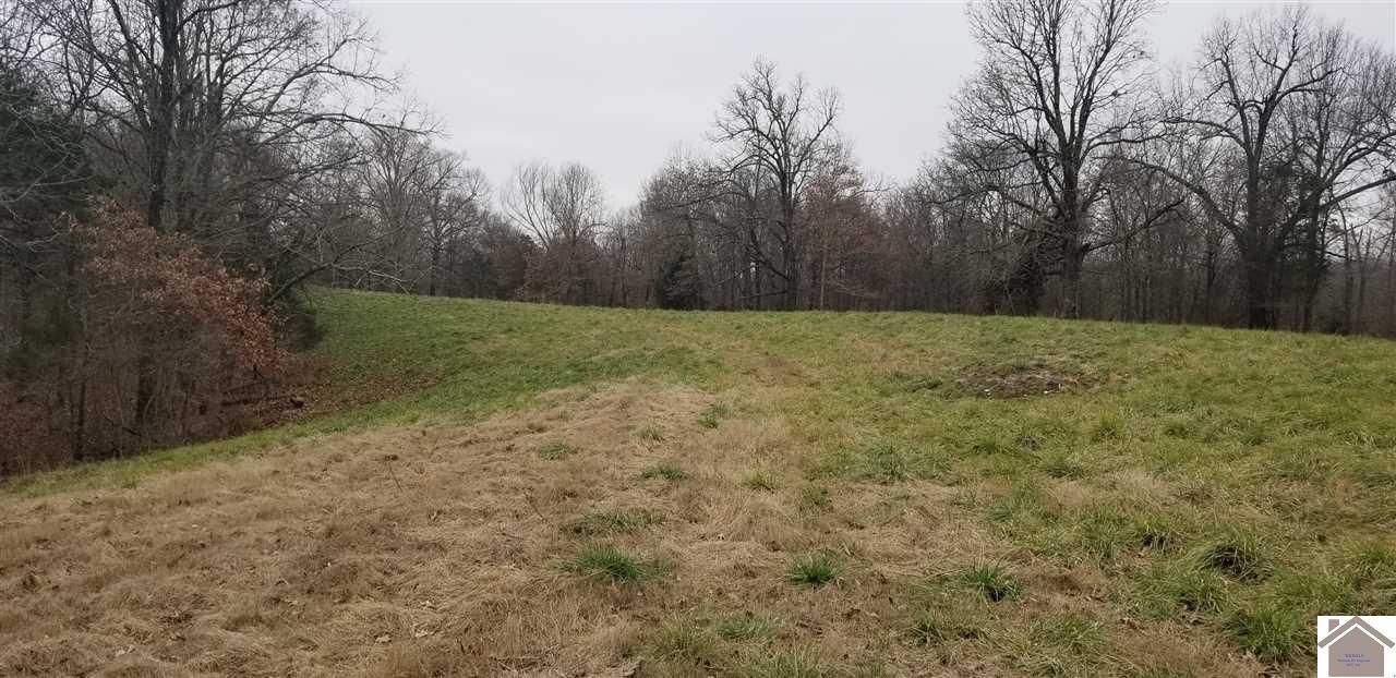 Grand Rivers, Livingston County, KY Undeveloped Land for sale Property