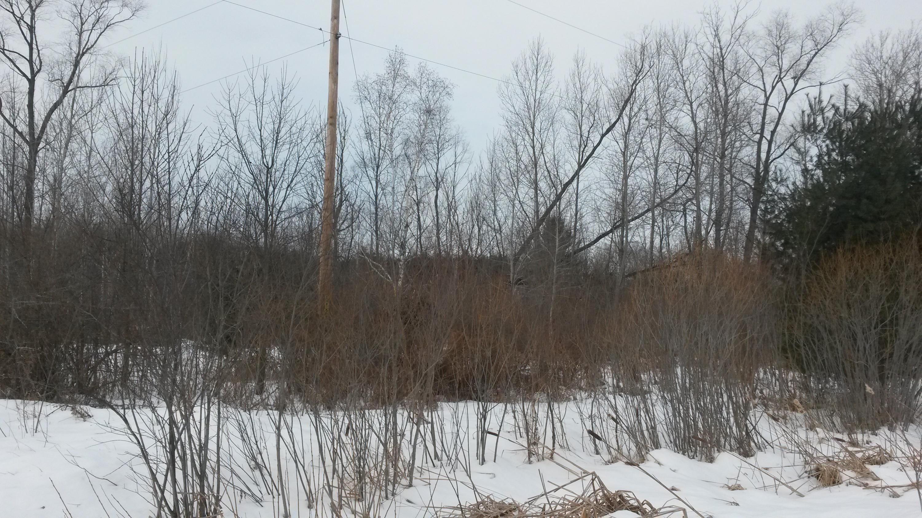 Fairview, Oscoda County, MI Undeveloped Land for sale Property ID