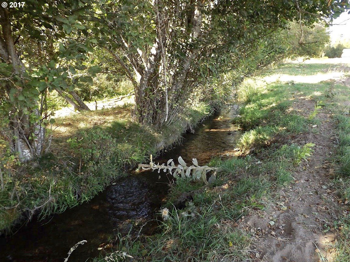 Glenwood, Klickitat County, WA Undeveloped Land, Lakefront Property