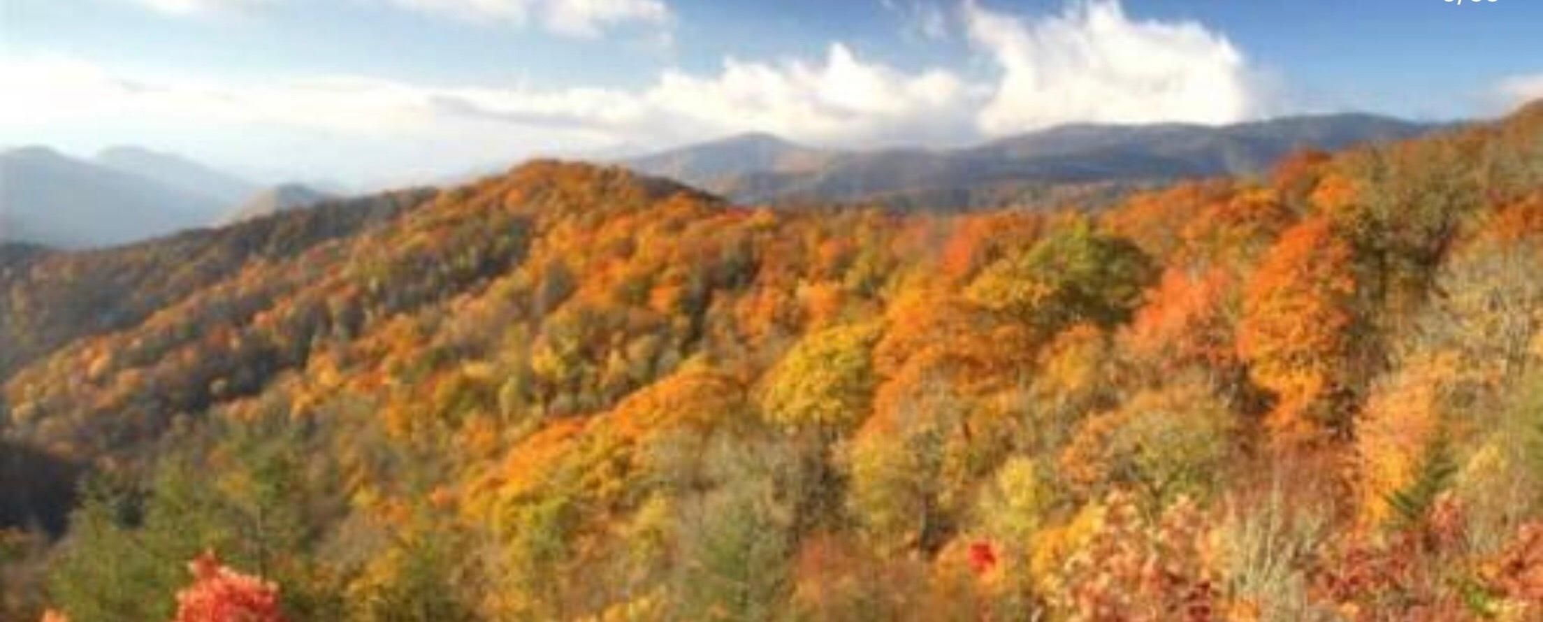 Bastian, Tazewell County, VA Recreational Property, Hunting Property