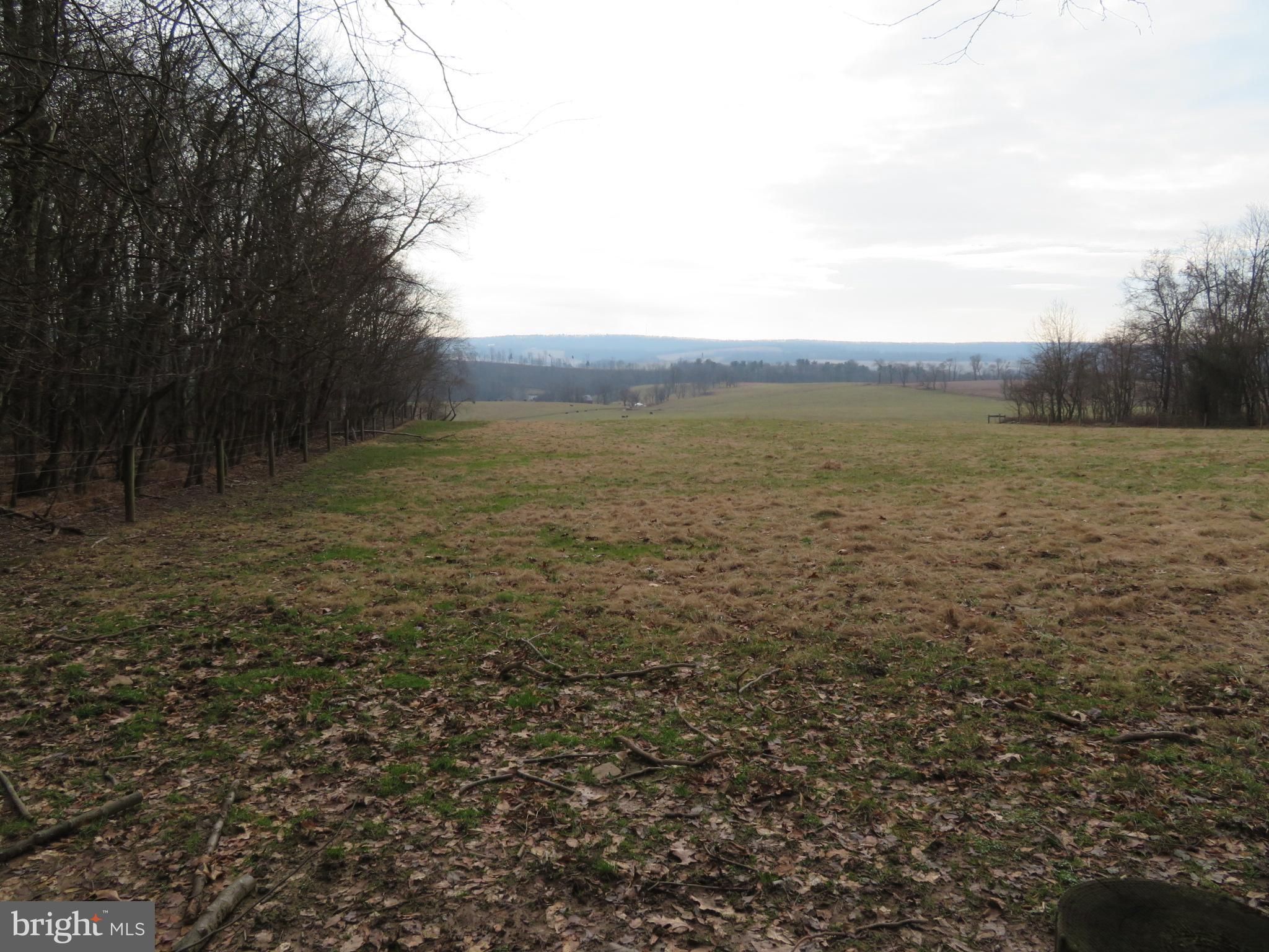 Dornsife, Northumberland County, PA Undeveloped Land for sale Property