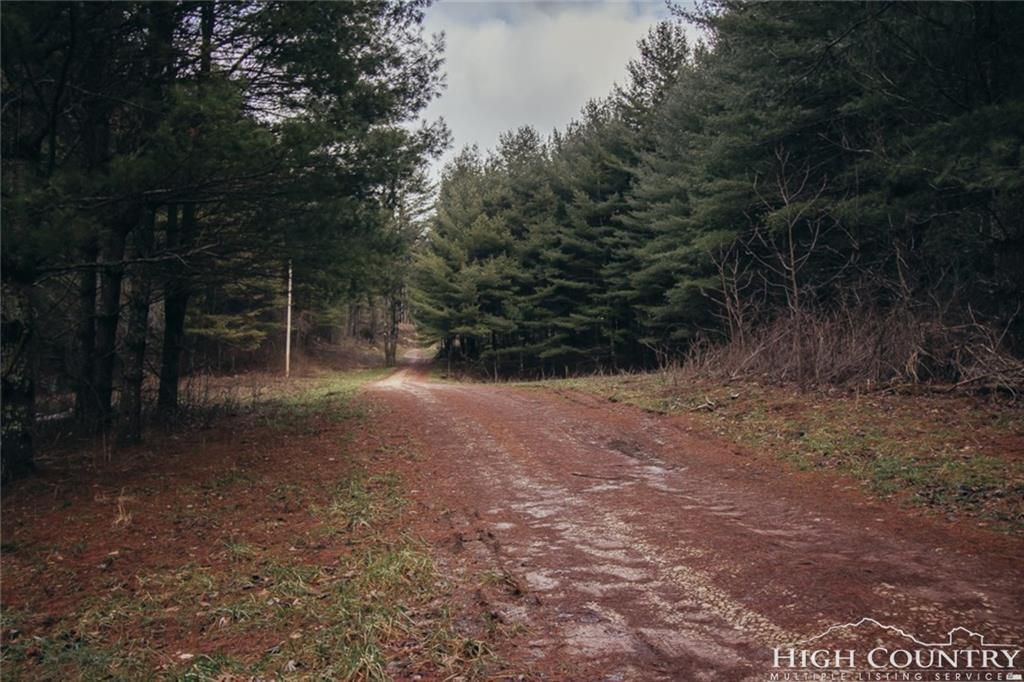 Laurel Bloomery, Johnson County, TN Undeveloped Land for sale Property