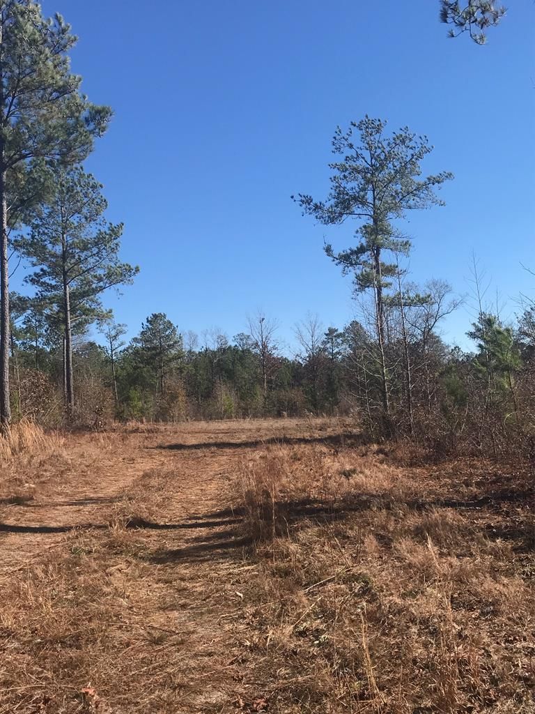 Aiken County, SC Undeveloped Land for sale Property ID