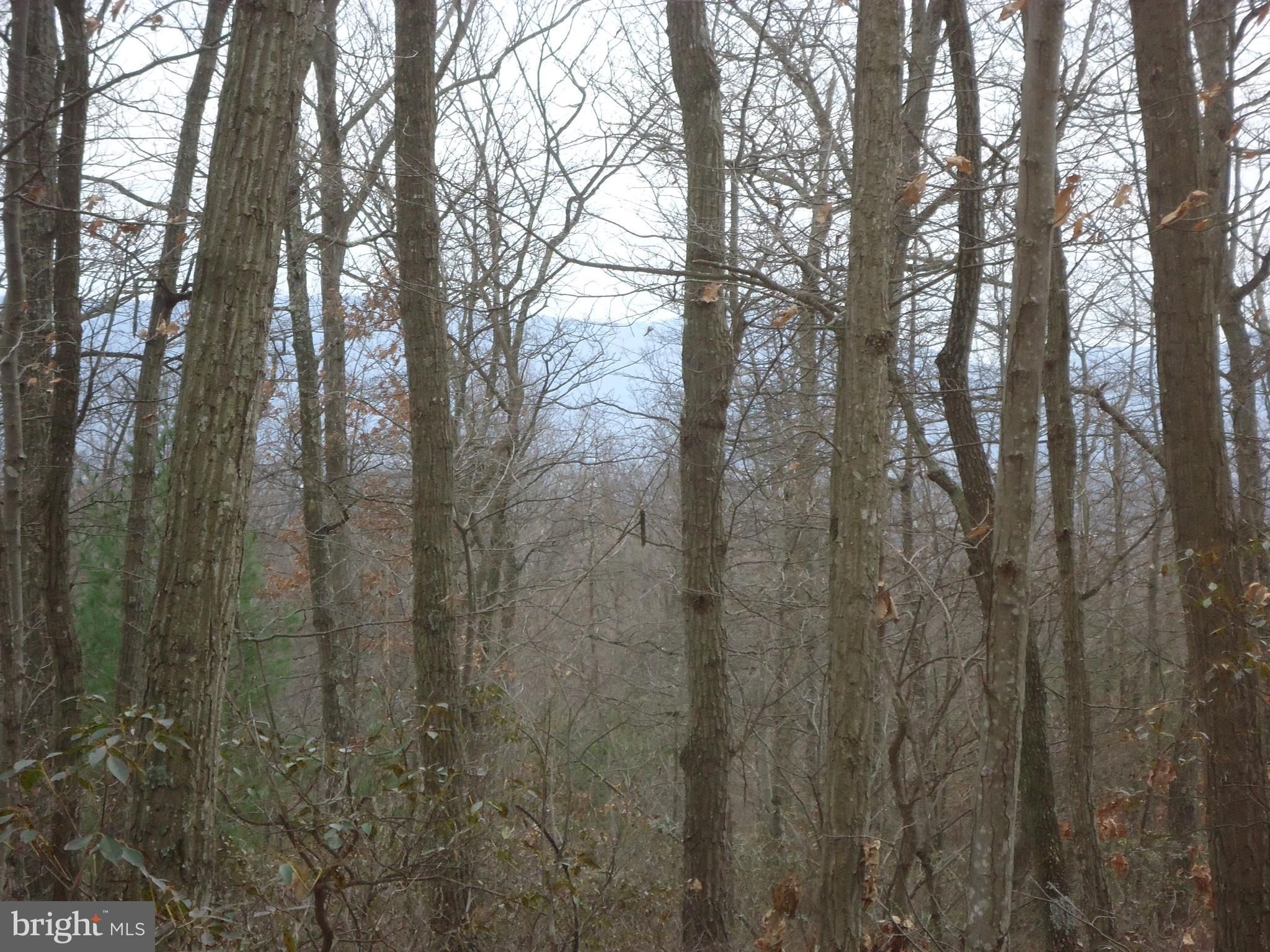 Maurertown, Shenandoah County, VA Undeveloped Land for sale Property ID